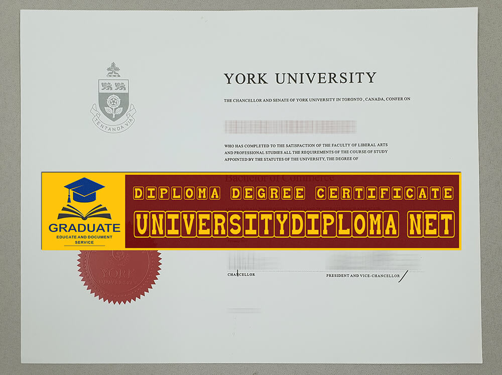 fake York University diploma, fake York University degree